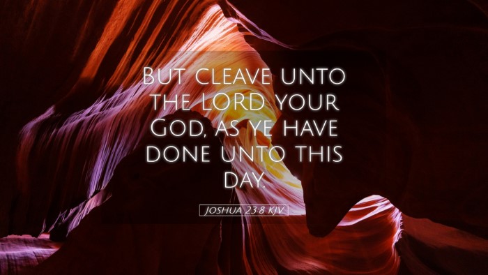 Picture 05 - Joshua 23:8 KJV Desktop Wallpaper - But cleave unto the LORD your God, as ye have - Desktop Bible Verse Wallpaper