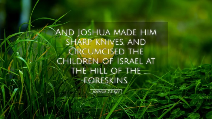 Picture 05 - Joshua 5:3 KJV Desktop Wallpaper - And Joshua made him sharp knives, and circumcised - Desktop Bible Verse Wallpaper