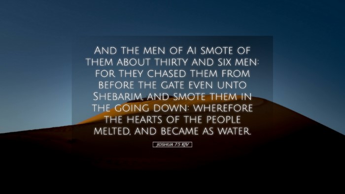 Picture 05 - Joshua 7:5 KJV Desktop Wallpaper - And the men of Ai smote of them about thirty and - Desktop Bible Verse Wallpaper