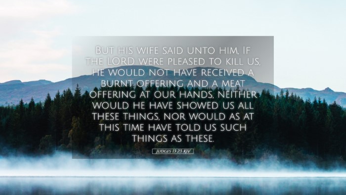 Picture 05 - Judges 13:23 KJV Desktop Wallpaper - But his wife said unto him, If the LORD were - Desktop Bible Verse Wallpaper