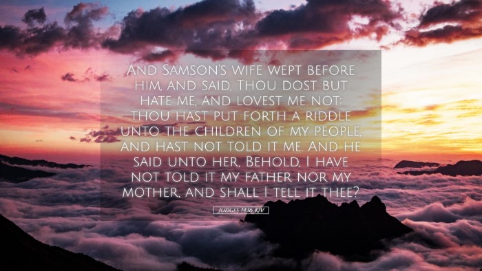 Picture 05 - Judges 14:16 KJV Desktop Wallpaper - And Samson's wife wept before him, and said, Thou - Desktop Bible Verse Wallpaper