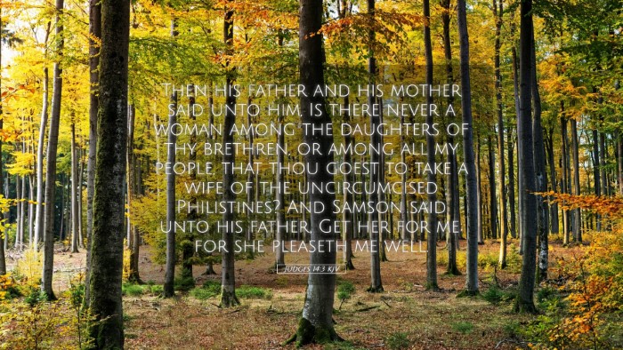 Picture 05 - Judges 14:3 KJV Desktop Wallpaper - Then his father and his mother said unto him, Is - Desktop Bible Verse Wallpaper