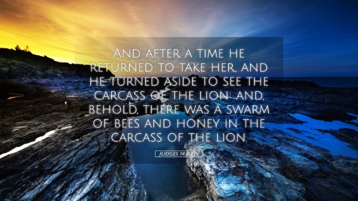 Picture 05 - Judges 14:8 KJV Desktop Wallpaper - And after a time he returned to take her, and he - Desktop Bible Verse Wallpaper
