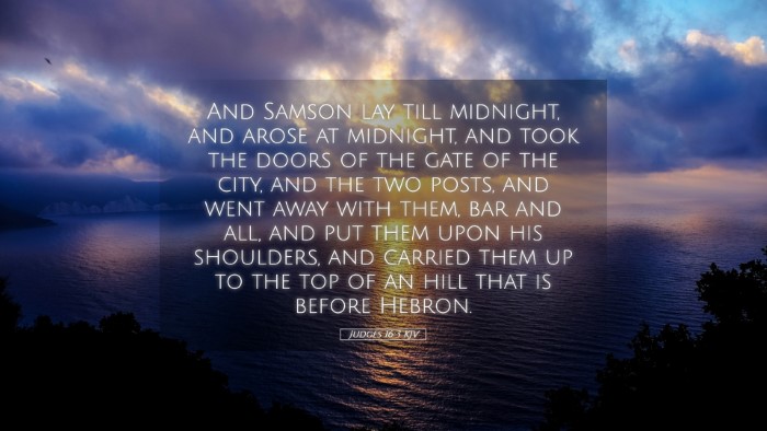 Picture 05 - Judges 16:3 KJV Desktop Wallpaper - And Samson lay till midnight, and arose at - Desktop Bible Verse Wallpaper
