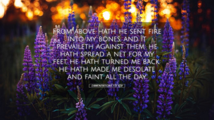Picture 05 - Lamentations 1:13 KJV Desktop Wallpaper - From above hath he sent fire into my bones, and - Desktop Bible Verse Wallpaper