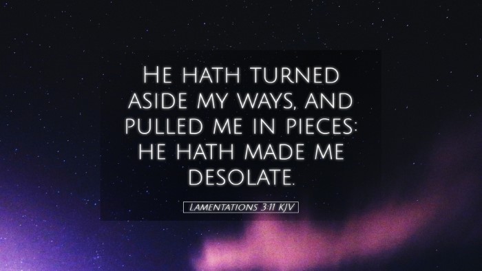 Picture 05 - Lamentations 3:11 KJV Desktop Wallpaper - He hath turned aside my ways, and pulled me in - Desktop Bible Verse Wallpaper