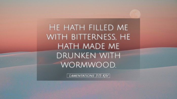 Picture 05 - Lamentations 3:15 KJV Desktop Wallpaper - He hath filled me with bitterness, he hath made - Desktop Bible Verse Wallpaper
