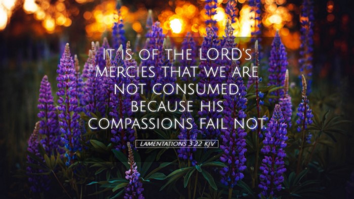 Picture 05 - Lamentations 3:22 KJV Desktop Wallpaper - It is of the LORD's mercies that we are not - Desktop Bible Verse Wallpaper