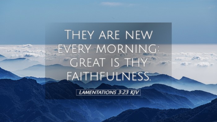 Picture 05 - Lamentations 3:23 KJV Desktop Wallpaper - They are new every morning: great is thy - Desktop Bible Verse Wallpaper