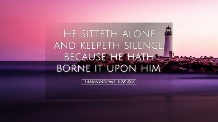 Picture 05 - Lamentations 3:28 KJV Desktop Wallpaper - He sitteth alone and keepeth silence, because he - Desktop Bible Verse Wallpaper