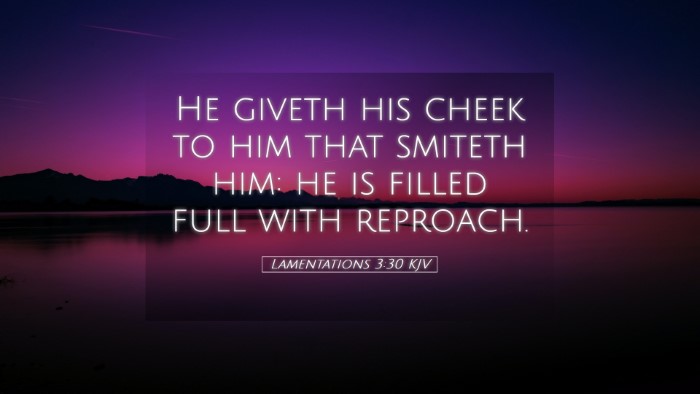 Picture 05 - Lamentations 3:30 KJV Desktop Wallpaper - He giveth his cheek to him that smiteth him: he - Desktop Bible Verse Wallpaper