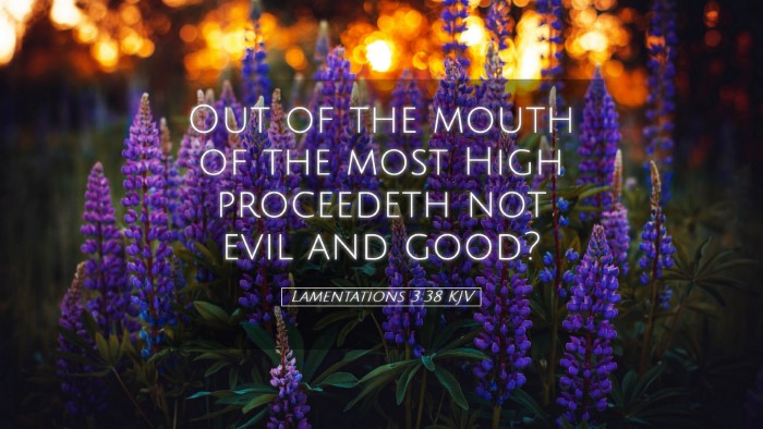 Picture 05 - Lamentations 3:38 KJV Desktop Wallpaper - Out of the mouth of the most High proceedeth not - Desktop Bible Verse Wallpaper
