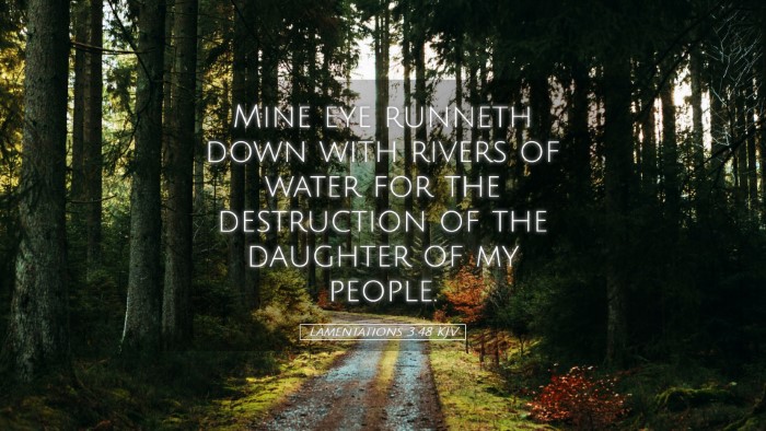 Picture 05 - Lamentations 3:48 KJV Desktop Wallpaper - Mine eye runneth down with rivers of water for - Desktop Bible Verse Wallpaper