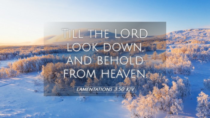 Picture 05 - Lamentations 3:50 KJV Desktop Wallpaper - Till the LORD look down, and behold from - Desktop Bible Verse Wallpaper