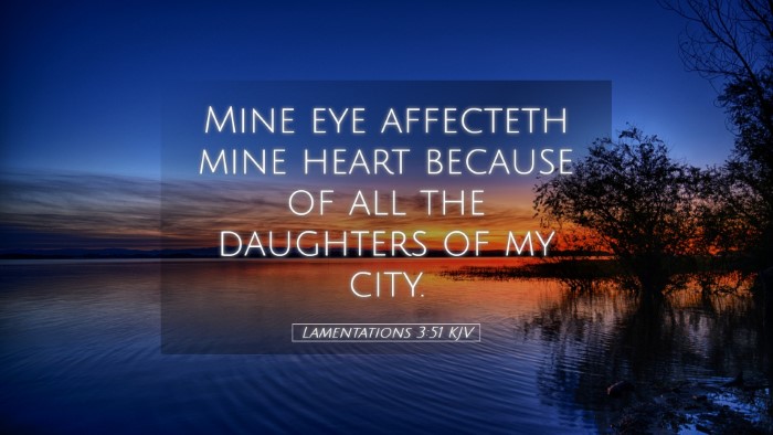 Picture 05 - Lamentations 3:51 KJV Desktop Wallpaper - Mine eye affecteth mine heart because of all the - Desktop Bible Verse Wallpaper
