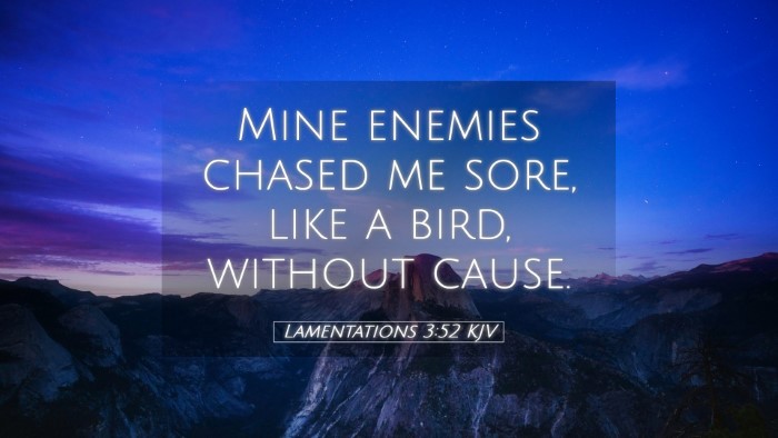 Picture 05 - Lamentations 3:52 KJV Desktop Wallpaper - Mine enemies chased me sore, like a bird, without - Desktop Bible Verse Wallpaper