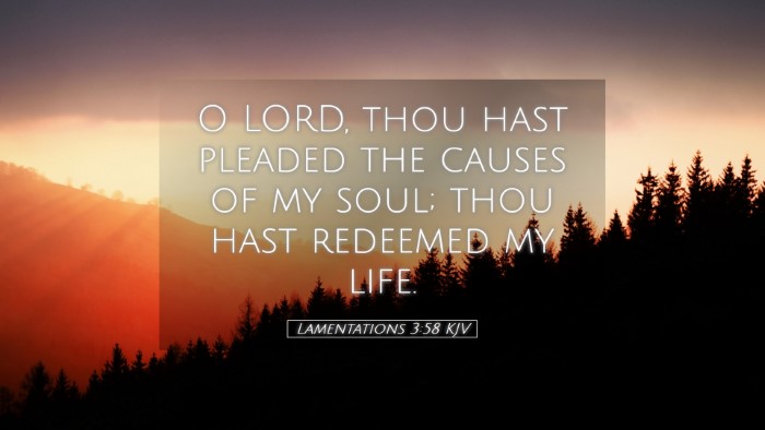 Picture 05 - Lamentations 3:58 KJV Desktop Wallpaper - O LORD, thou hast pleaded the causes of my soul; - Desktop Bible Verse Wallpaper