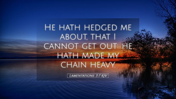 Picture 05 - Lamentations 3:7 KJV Desktop Wallpaper - He hath hedged me about, that I cannot get out: - Desktop Bible Verse Wallpaper