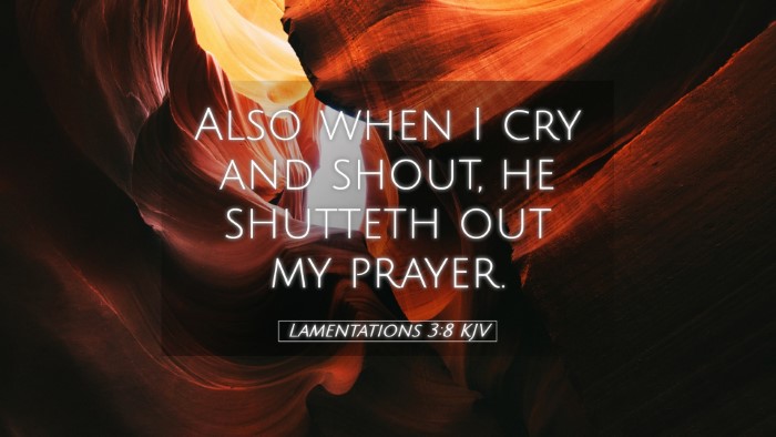 Picture 05 - Lamentations 3:8 KJV Desktop Wallpaper - Also when I cry and shout, he shutteth out my - Desktop Bible Verse Wallpaper