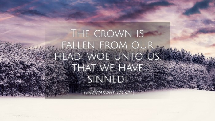 Picture 05 - Lamentations 5:16 KJV Desktop Wallpaper - The crown is fallen from our head: woe unto us, - Desktop Bible Verse Wallpaper