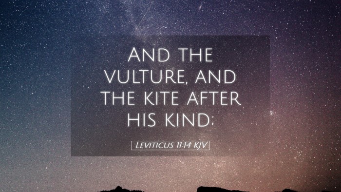 Picture 05 - Leviticus 11:14 KJV Desktop Wallpaper - And the vulture, and the kite after his - Desktop Bible Verse Wallpaper