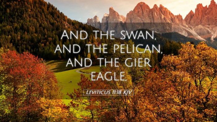 Picture 05 - Leviticus 11:18 KJV Desktop Wallpaper - And the swan, and the pelican, and the gier - Desktop Bible Verse Wallpaper