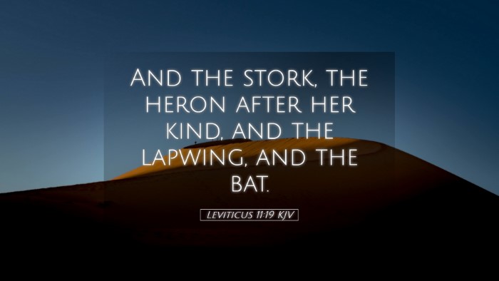 Picture 05 - Leviticus 11:19 KJV Desktop Wallpaper - And the stork, the heron after her kind, and the - Desktop Bible Verse Wallpaper