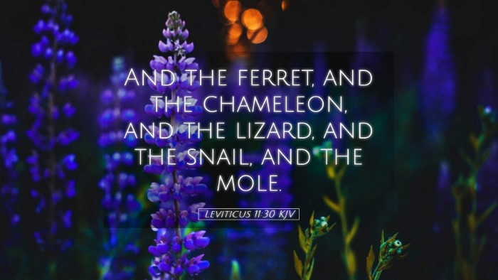 Picture 05 - Leviticus 11:30 KJV Desktop Wallpaper - And the ferret, and the chameleon, and the - Desktop Bible Verse Wallpaper
