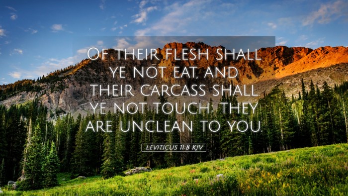 Picture 05 - Leviticus 11:8 KJV Desktop Wallpaper - Of their flesh shall ye not eat, and their - Desktop Bible Verse Wallpaper