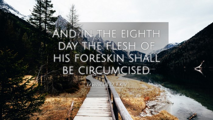 Picture 05 - Leviticus 12:3 KJV Desktop Wallpaper - And in the eighth day the flesh of his foreskin - Desktop Bible Verse Wallpaper