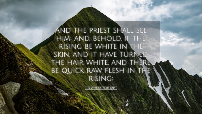 Picture 05 - Leviticus 13:10 KJV Desktop Wallpaper - And the priest shall see him: and, behold, if the - Desktop Bible Verse Wallpaper