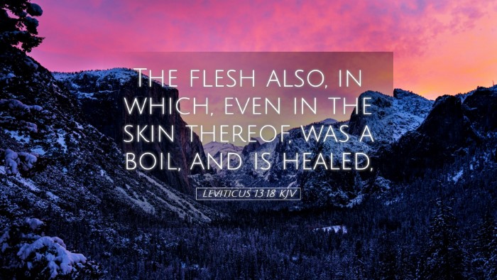 Picture 05 - Leviticus 13:18 KJV Desktop Wallpaper - The flesh also, in which, even in the skin - Desktop Bible Verse Wallpaper