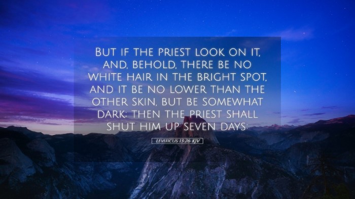 Picture 05 - Leviticus 13:26 KJV Desktop Wallpaper - But if the priest look on it, and, behold, there - Desktop Bible Verse Wallpaper