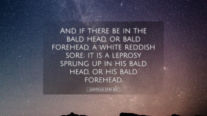 Picture 05 - Leviticus 13:42 KJV Desktop Wallpaper - And if there be in the bald head, or bald - Desktop Bible Verse Wallpaper