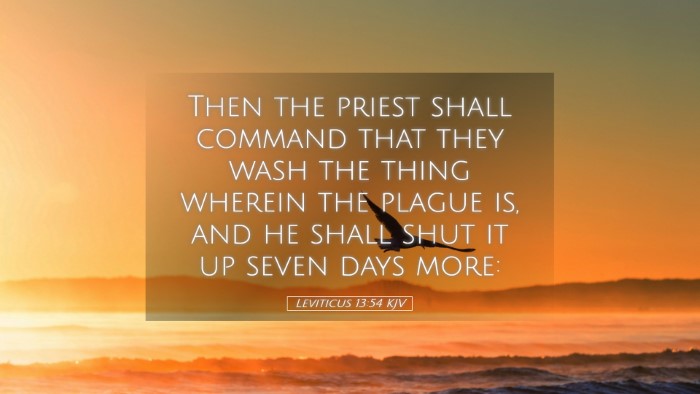 Picture 05 - Leviticus 13:54 KJV Desktop Wallpaper - Then the priest shall command that they wash the - Desktop Bible Verse Wallpaper