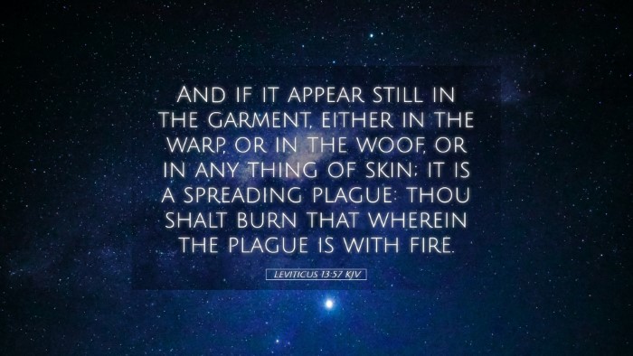 Picture 05 - Leviticus 13:57 KJV Desktop Wallpaper - And if it appear still in the garment, either in - Desktop Bible Verse Wallpaper
