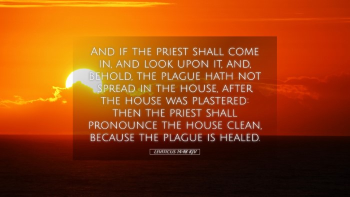 Picture 05 - Leviticus 14:48 KJV Desktop Wallpaper - And if the priest shall come in, and look upon - Desktop Bible Verse Wallpaper