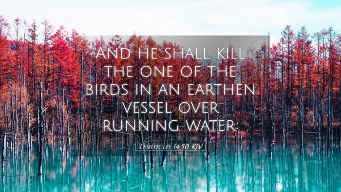 Picture 05 - Leviticus 14:50 KJV Desktop Wallpaper - And he shall kill the one of the birds in an - Desktop Bible Verse Wallpaper