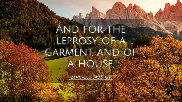 Picture 05 - Leviticus 14:55 KJV Desktop Wallpaper - And for the leprosy of a garment, and of a - Desktop Bible Verse Wallpaper