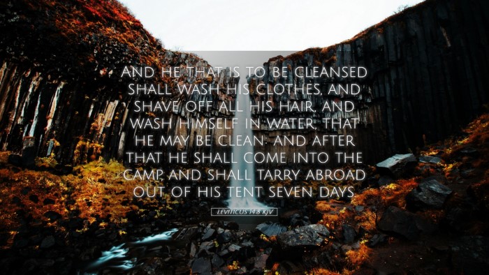 Picture 05 - Leviticus 14:8 KJV Desktop Wallpaper - And he that is to be cleansed shall wash his - Desktop Bible Verse Wallpaper