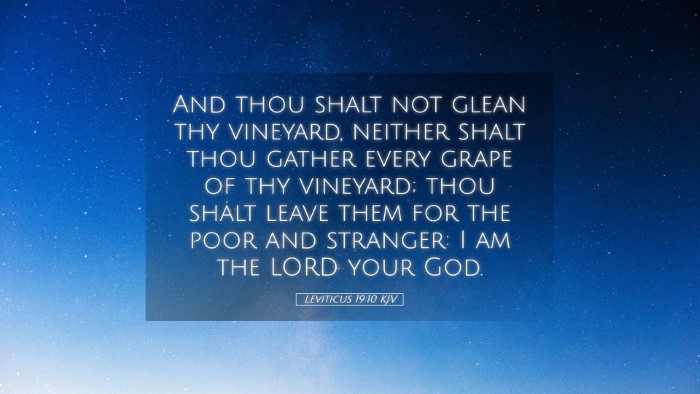 Picture 05 - Leviticus 19:10 KJV Desktop Wallpaper - And thou shalt not glean thy vineyard, neither - Desktop Bible Verse Wallpaper