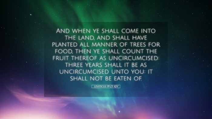 Picture 05 - Leviticus 19:23 KJV Desktop Wallpaper - And when ye shall come into the land, and shall - Desktop Bible Verse Wallpaper