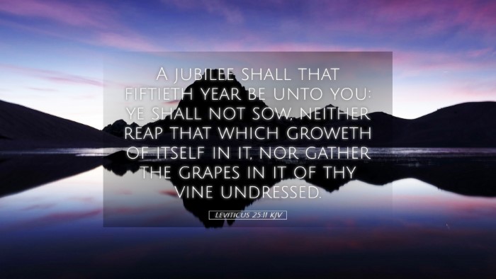 Picture 05 - Leviticus 25:11 KJV Desktop Wallpaper - A jubilee shall that fiftieth year be unto you: - Desktop Bible Verse Wallpaper