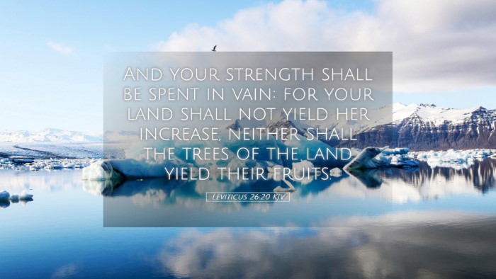 Picture 05 - Leviticus 26:20 KJV Desktop Wallpaper - And your strength shall be spent in vain: for - Desktop Bible Verse Wallpaper