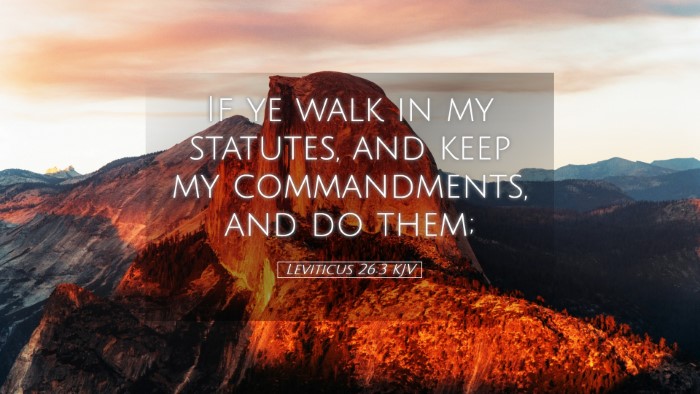 Picture 05 - Leviticus 26:3 KJV Desktop Wallpaper - If ye walk in my statutes, and keep my - Desktop Bible Verse Wallpaper