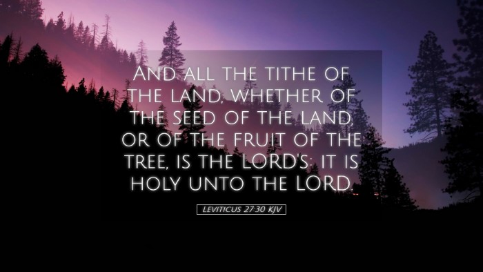 Picture 05 - Leviticus 27:30 KJV Desktop Wallpaper - And all the tithe of the land, whether of the - Desktop Bible Verse Wallpaper