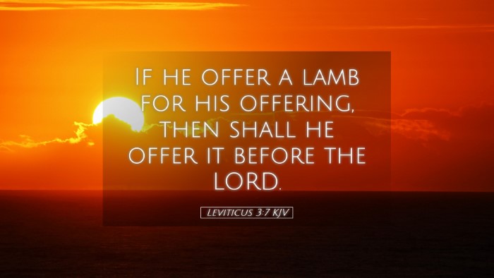 Picture 05 - Leviticus 3:7 KJV Desktop Wallpaper - If he offer a lamb for his offering, then shall - Desktop Bible Verse Wallpaper