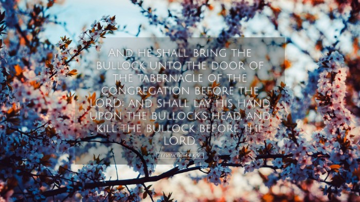 Picture 05 - Leviticus 4:4 KJV Desktop Wallpaper - And he shall bring the bullock unto the door of - Desktop Bible Verse Wallpaper
