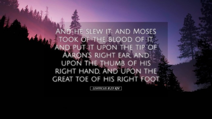 Picture 05 - Leviticus 8:23 KJV Desktop Wallpaper - And he slew it; and Moses took of the blood of - Desktop Bible Verse Wallpaper