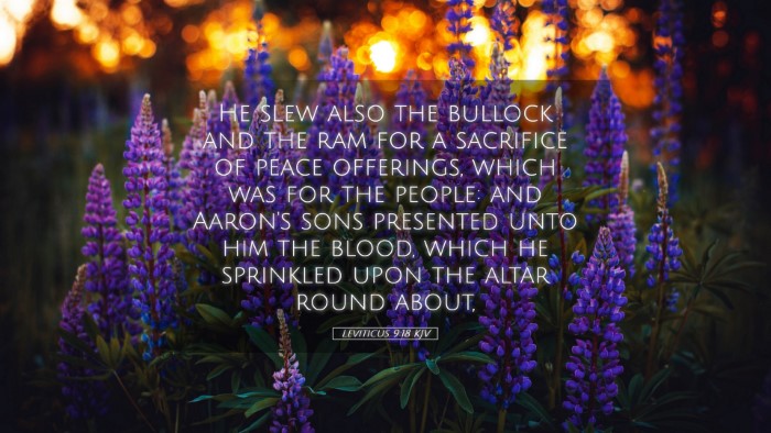 Picture 05 - Leviticus 9:18 KJV Desktop Wallpaper - He slew also the bullock and the ram for a - Desktop Bible Verse Wallpaper
